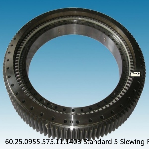 60.25.0955.575.11.1403 Standard 5 Slewing Ring Bearings