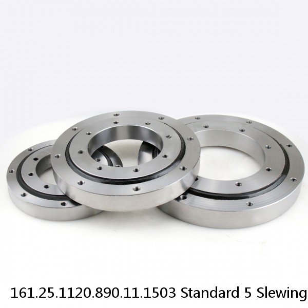 161.25.1120.890.11.1503 Standard 5 Slewing Ring Bearings