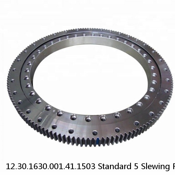 12.30.1630.001.41.1503 Standard 5 Slewing Ring Bearings
