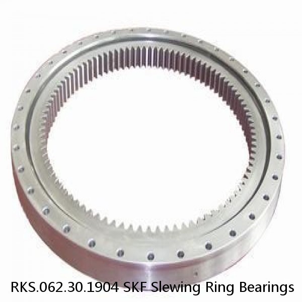 RKS.062.30.1904 SKF Slewing Ring Bearings