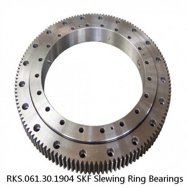 RKS.061.30.1904 SKF Slewing Ring Bearings