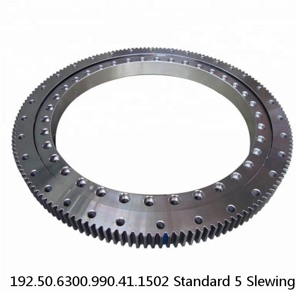 192.50.6300.990.41.1502 Standard 5 Slewing Ring Bearings