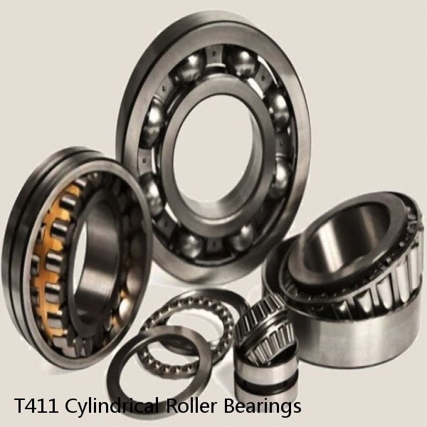 T411 Cylindrical Roller Bearings #1 small image