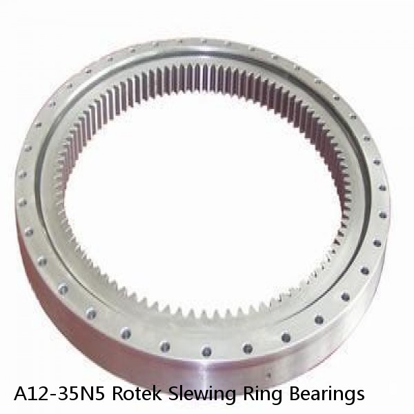 A12-35N5 Rotek Slewing Ring Bearings #1 small image