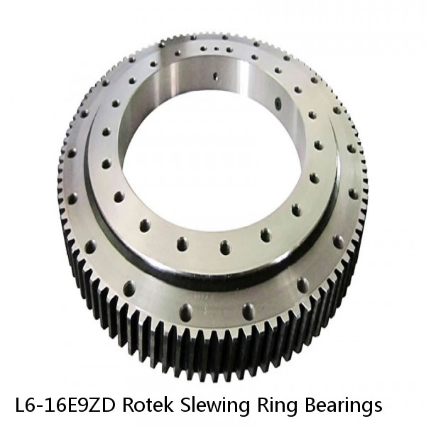 L6-16E9ZD Rotek Slewing Ring Bearings #1 small image