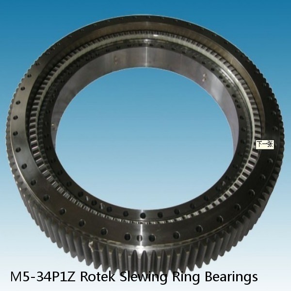 M5-34P1Z Rotek Slewing Ring Bearings #1 small image