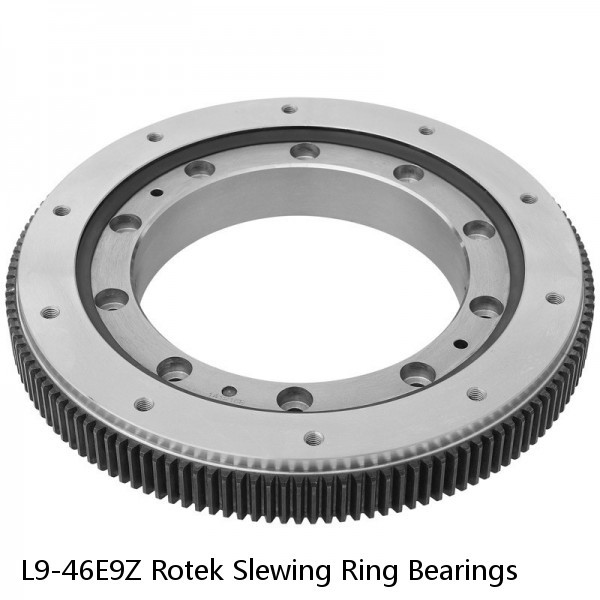 L9-46E9Z Rotek Slewing Ring Bearings