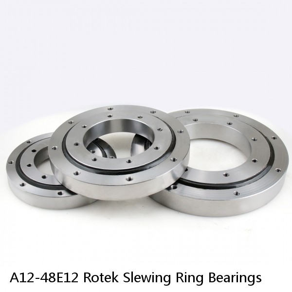 A12-48E12 Rotek Slewing Ring Bearings #1 small image