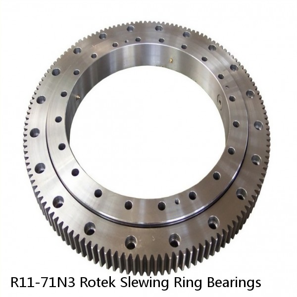 R11-71N3 Rotek Slewing Ring Bearings #1 small image