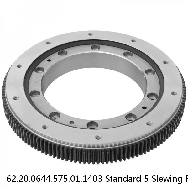 62.20.0644.575.01.1403 Standard 5 Slewing Ring Bearings