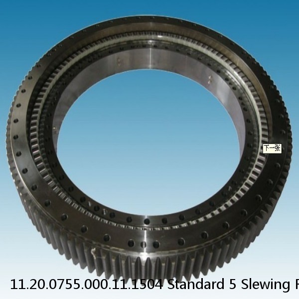 11.20.0755.000.11.1504 Standard 5 Slewing Ring Bearings #1 small image