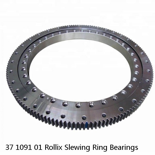 37 1091 01 Rollix Slewing Ring Bearings #1 small image
