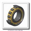 Link-Belt M5306TV Cylindrical Roller Bearings