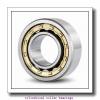 190 mm x 240 mm x 50 mm  INA SL014838 Cylindrical Roller Bearings