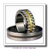 American Roller CM 238 Cylindrical Roller Bearings #1 small image