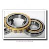 American Roller AM 5130 Cylindrical Roller Bearings