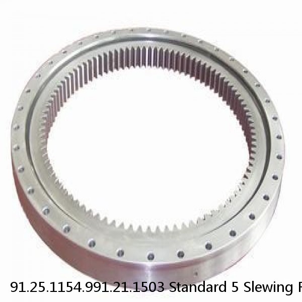 91.25.1154.991.21.1503 Standard 5 Slewing Ring Bearings #1 image
