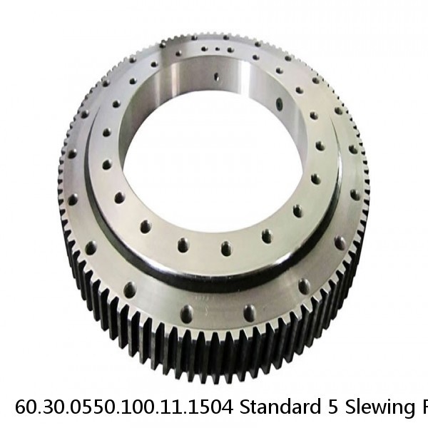 60.30.0550.100.11.1504 Standard 5 Slewing Ring Bearings #1 image