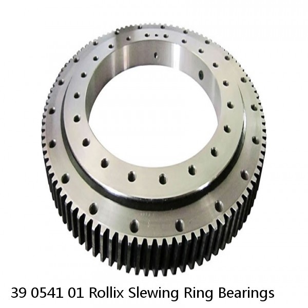 39 0541 01 Rollix Slewing Ring Bearings #1 image