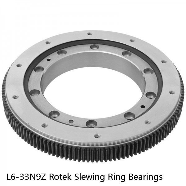 L6-33N9Z Rotek Slewing Ring Bearings #1 image