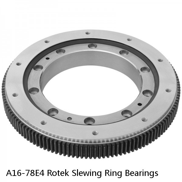 A16-78E4 Rotek Slewing Ring Bearings #1 image