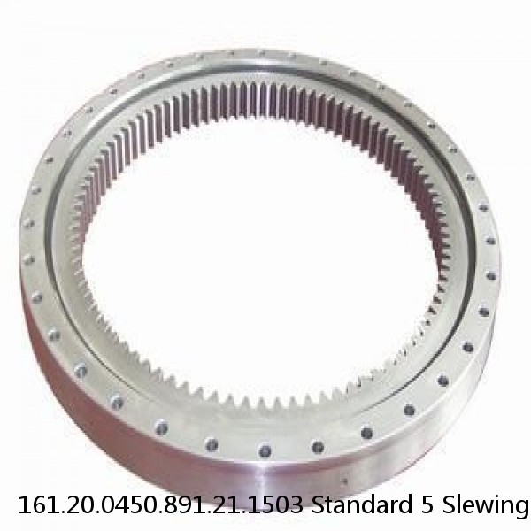 161.20.0450.891.21.1503 Standard 5 Slewing Ring Bearings #1 image
