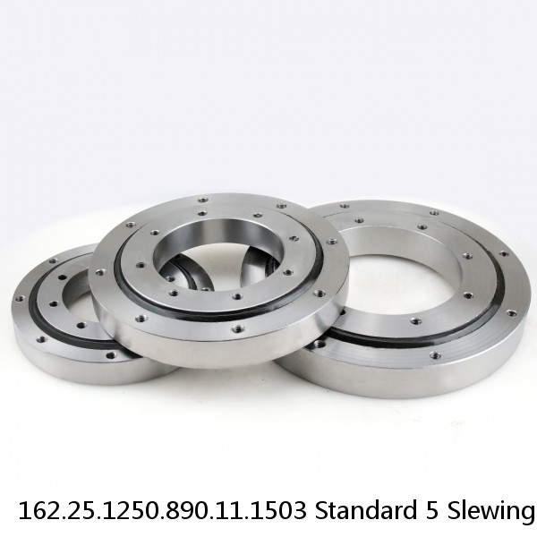 162.25.1250.890.11.1503 Standard 5 Slewing Ring Bearings #1 image