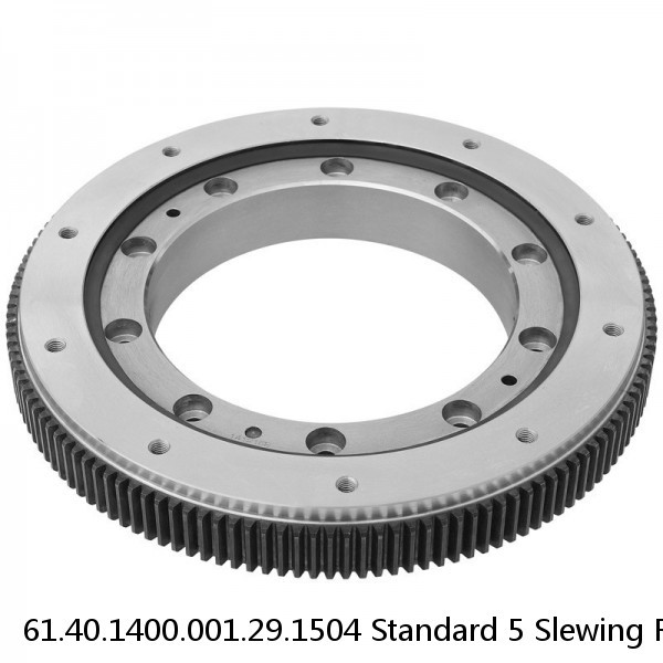 61.40.1400.001.29.1504 Standard 5 Slewing Ring Bearings #1 image