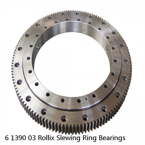 6 1390 03 Rollix Slewing Ring Bearings #1 image