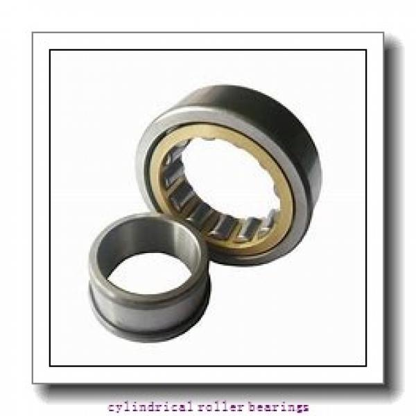 SKF RNU204 ECP Cylindrical Roller Bearings #1 image