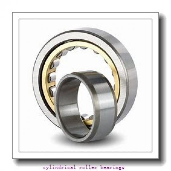 Link-Belt MR5209 Cylindrical Roller Bearings #1 image