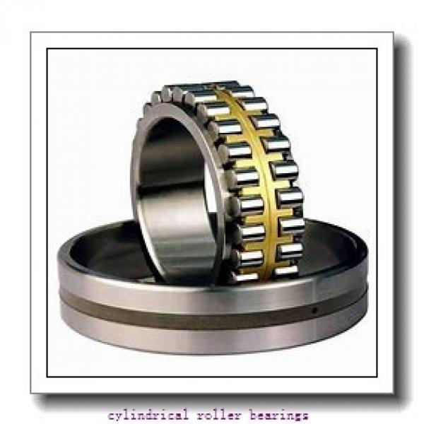 55 mm x 120 mm x mm  Rollway NJ 311 EM Cylindrical Roller Bearings #1 image