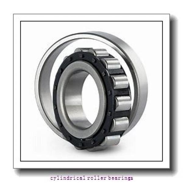 55 mm x 120 mm x mm  Rollway NU 311 EM Cylindrical Roller Bearings #1 image