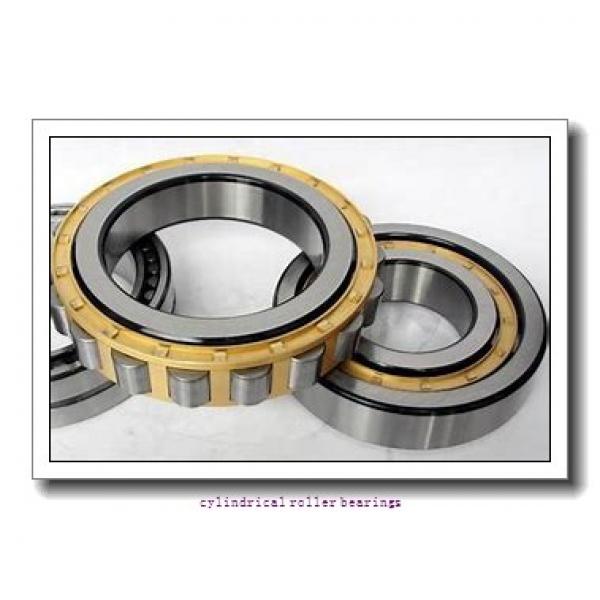 50 mm x 110 mm x mm  Rollway NU 310 EM C3 Cylindrical Roller Bearings #1 image
