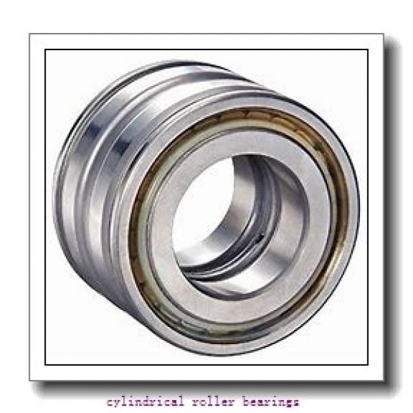 90 mm x 160 mm x mm  Rollway NU 218 EM C3 Cylindrical Roller Bearings #1 image